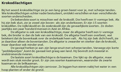 voorbeeld storytelling|narratieve teksten voorbeelden.